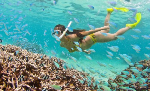 Snorkeling in Panama