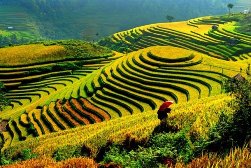 Philippines