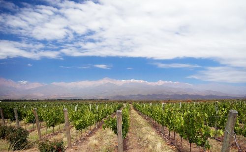 Mendoza wine region, Argentina
